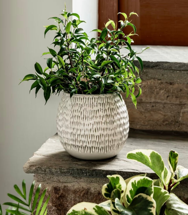 Winkleigh Pot 18cm White