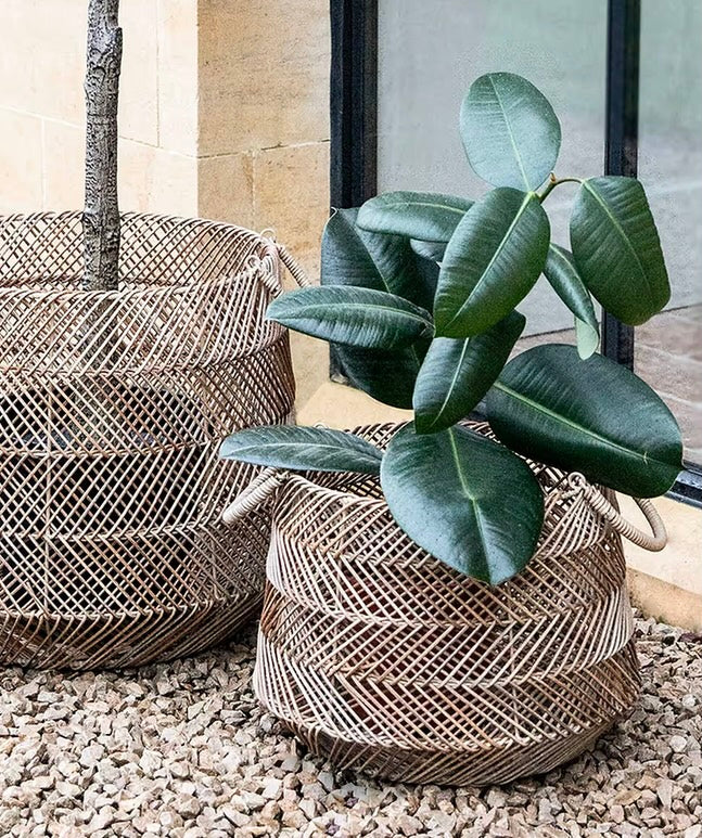 Hinton Woven Baskets Set of 2
