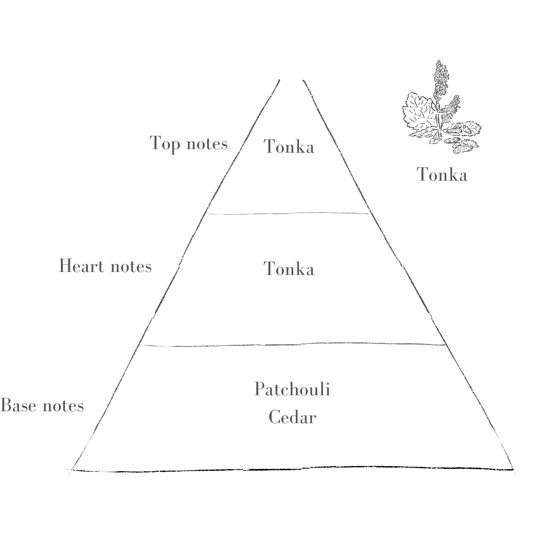 Pott Tonka Refill